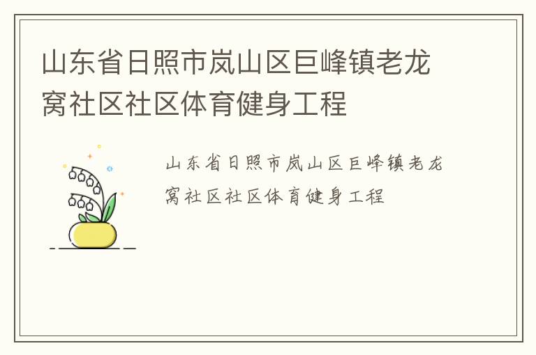 山東省日照市嵐山區巨峰鎮老龍窩社區社區體育健身工程