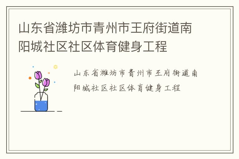 山東省濰坊市青州市王府街道南陽城社區社區體育健身工程