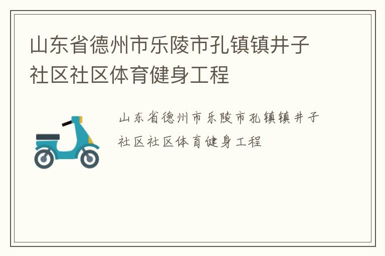 山東省德州市樂陵市孔鎮鎮井子社區社區體育健身工程