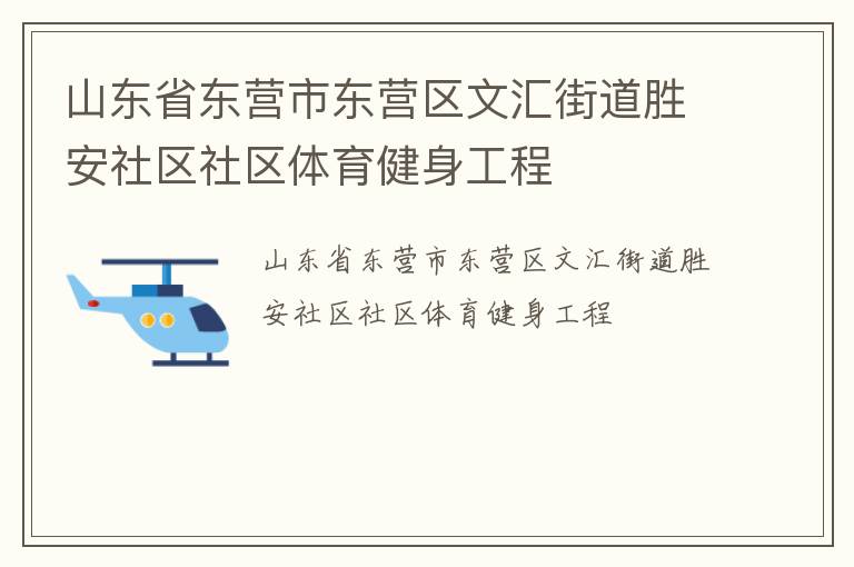 山東省東營市東營區文匯街道勝安社區社區體育健身工程