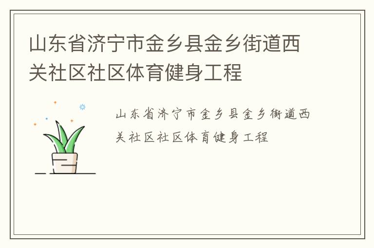 山東省濟寧市金鄉縣金鄉街道西關社區社區體育健身工程