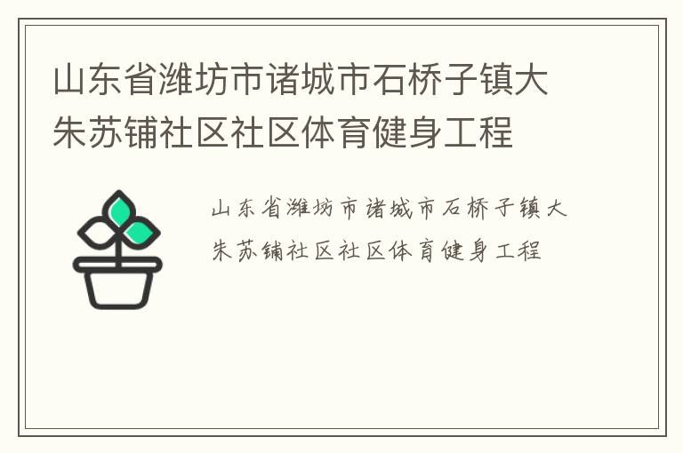 山東省濰坊市諸城市石橋子鎮大朱蘇鋪社區社區體育健身工程