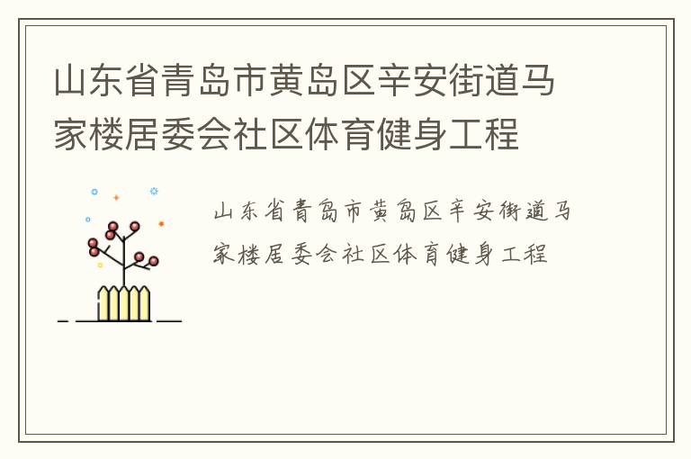 山東省青島市黃島區辛安街道馬家樓居委會社區體育健身工程