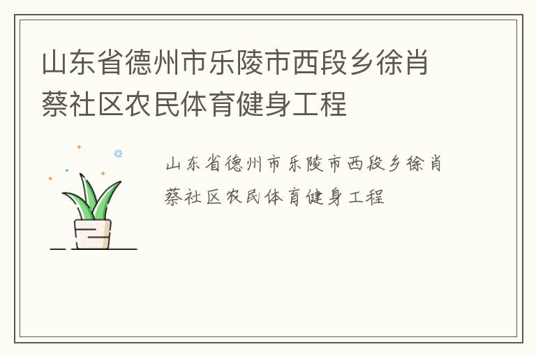 山東省德州市樂陵市西段鄉徐肖蔡社區農民體育健身工程