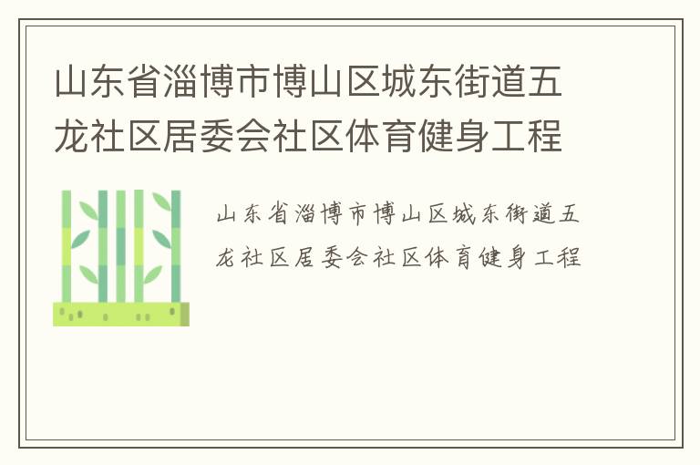 山東省淄博市博山區城東街道五龍社區居委會社區體育健身工程