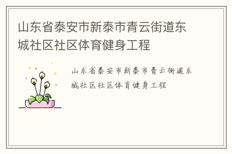 山東省泰安市新泰市青云街道東城社區社區體育健身工程