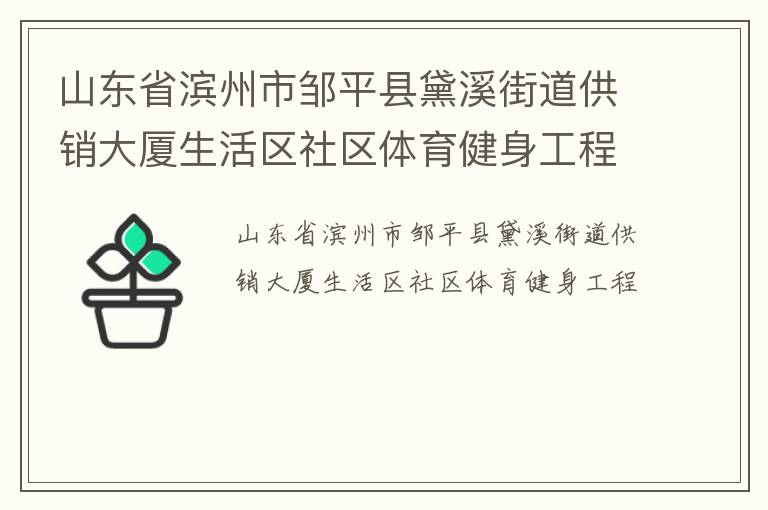 山東省濱州市鄒平縣黛溪街道供銷大廈生活區社區體育健身工程
