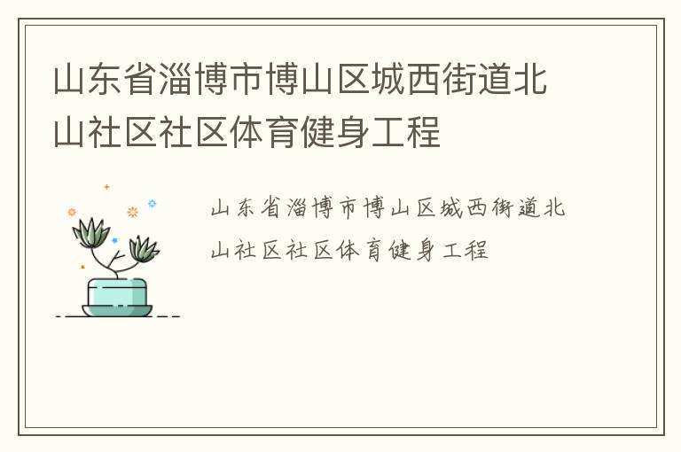 山東省淄博市博山區城西街道北山社區社區體育健身工程