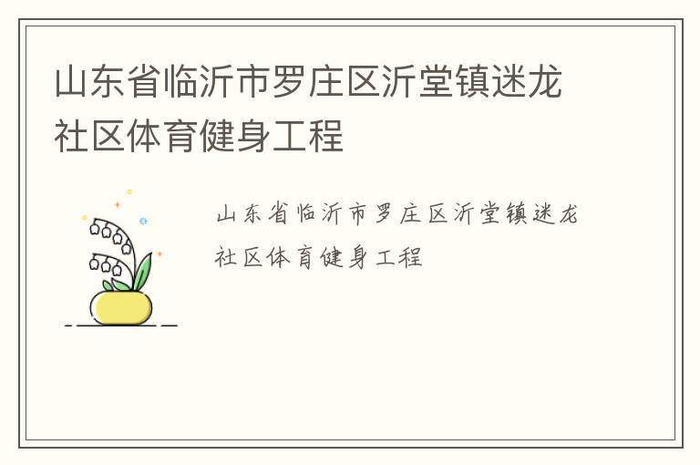 山東省臨沂市羅莊區沂堂鎮迷龍社區體育健身工程