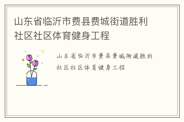 山東省臨沂市費縣費城街道勝利社區社區體育健身工程