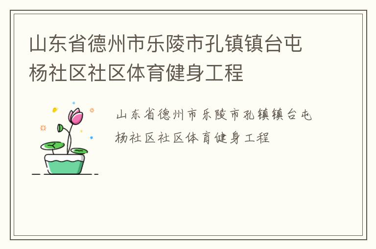 山東省德州市樂陵市孔鎮鎮臺屯楊社區社區體育健身工程