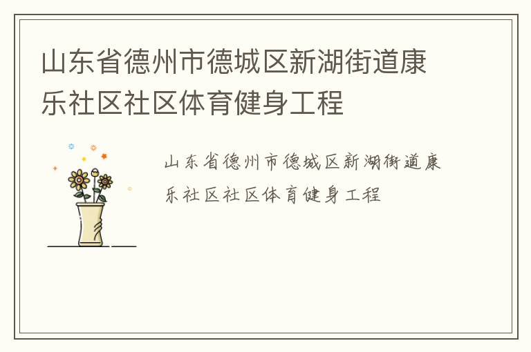 山東省德州市德城區新湖街道康樂社區社區體育健身工程