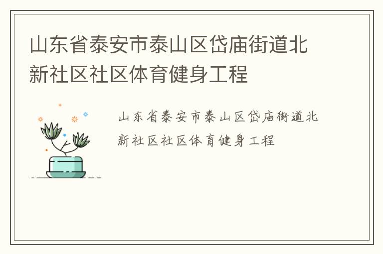 山東省泰安市泰山區岱廟街道北新社區社區體育健身工程