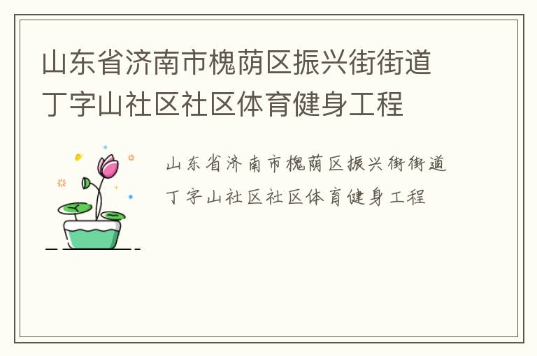 山東省濟南市槐蔭區振興街街道丁字山社區社區體育健身工程