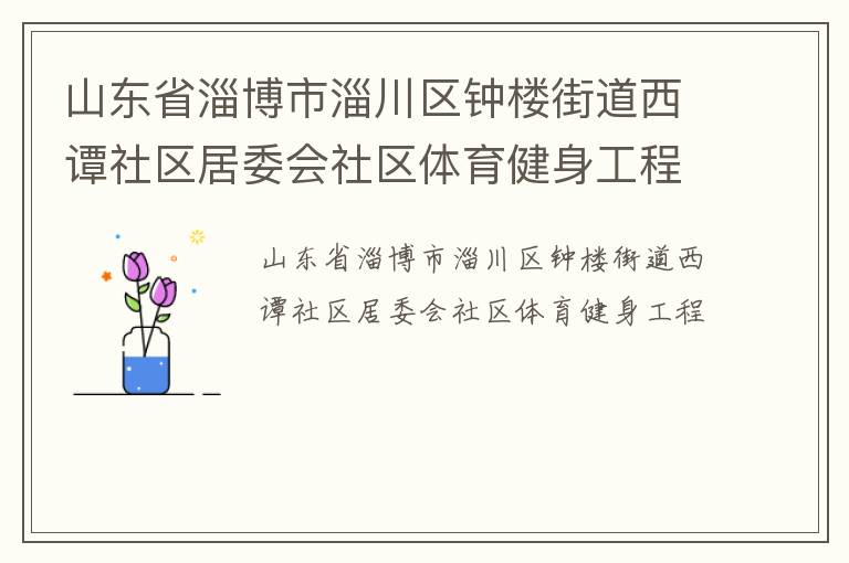 山東省淄博市淄川區鐘樓街道西譚社區居委會社區體育健身工程