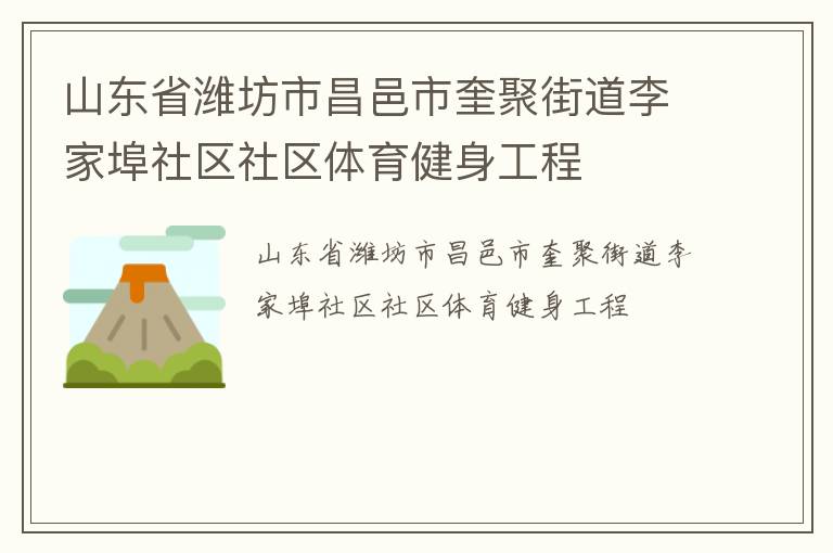 山東省濰坊市昌邑市奎聚街道李家埠社區社區體育健身工程