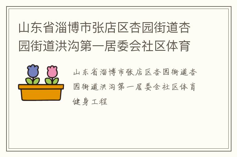 山東省淄博市張店區杏園街道杏園街道洪溝第一居委會社區體育健身工程