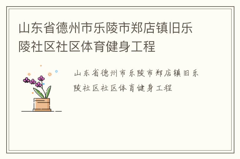 山東省德州市樂陵市鄭店鎮舊樂陵社區社區體育健身工程