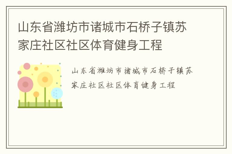 山東省濰坊市諸城市石橋子鎮蘇家莊社區社區體育健身工程