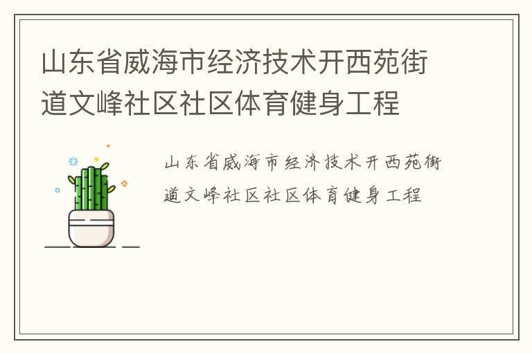 山東省威海市經濟技術開西苑街道文峰社區社區體育健身工程