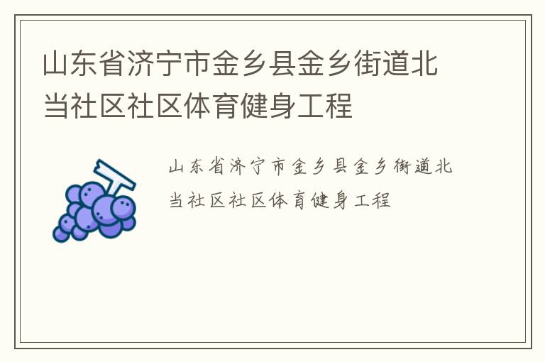 山東省濟寧市金鄉縣金鄉街道北當社區社區體育健身工程