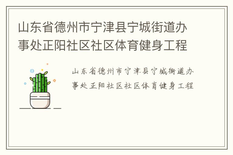 山東省德州市寧津縣寧城街道辦事處正陽社區社區體育健身工程