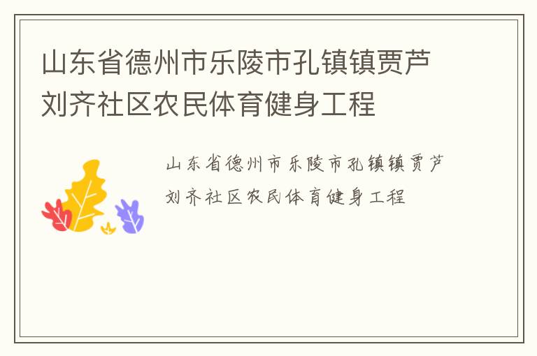 山東省德州市樂陵市孔鎮鎮賈蘆劉齊社區農民體育健身工程