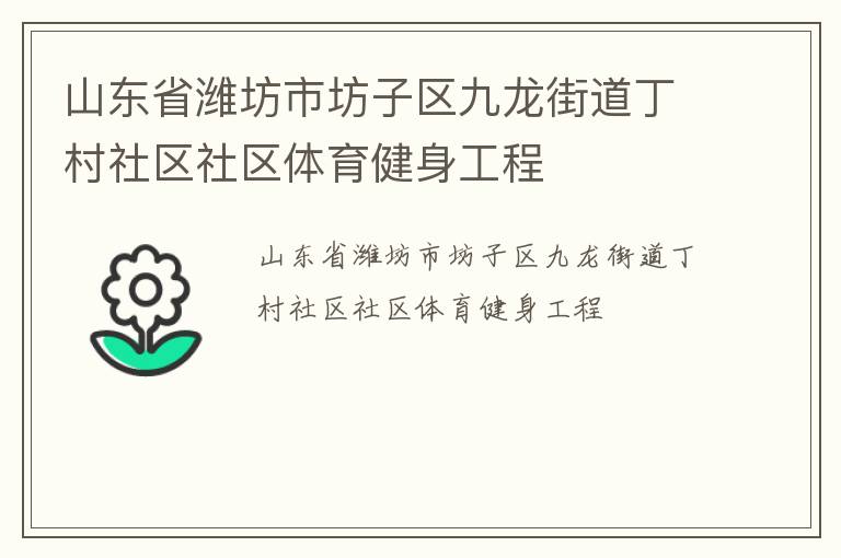 山東省濰坊市坊子區九龍街道丁村社區社區體育健身工程