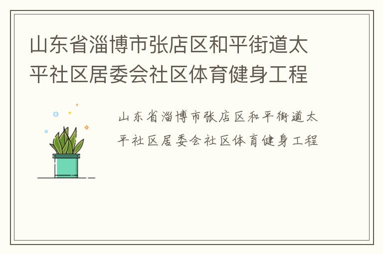 山東省淄博市張店區和平街道太平社區居委會社區體育健身工程