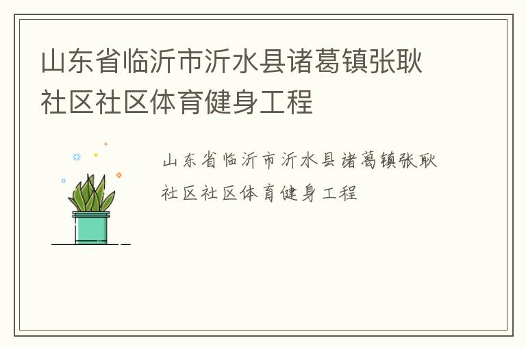 山東省臨沂市沂水縣諸葛鎮張耿社區社區體育健身工程