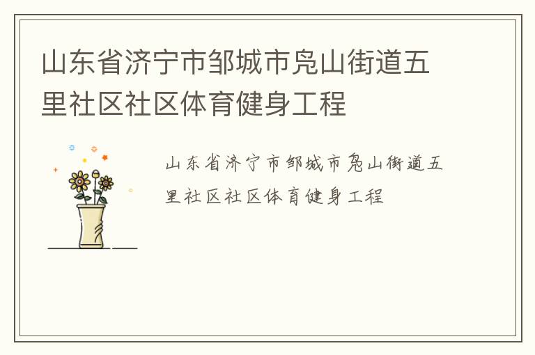 山東省濟寧市鄒城市鳧山街道五里社區社區體育健身工程