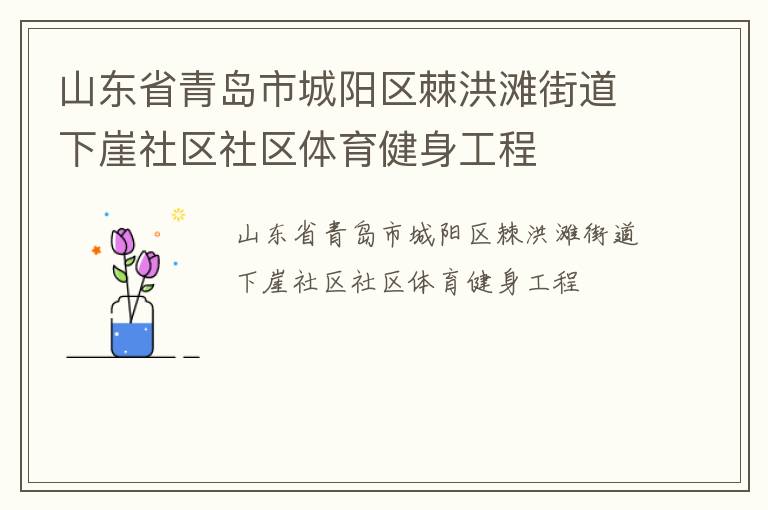 山東省青島市城陽區棘洪灘街道下崖社區社區體育健身工程