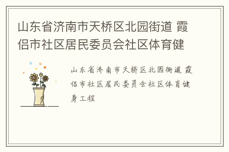 山東省濟南市天橋區北園街道 霞侶市社區居民委員會社區體育健身工程