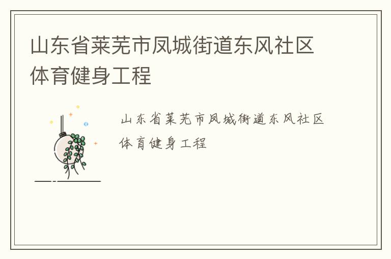 山東省萊蕪市鳳城街道東風社區體育健身工程