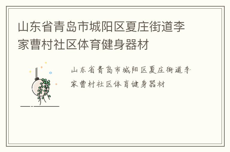 山東省青島市城陽區夏莊街道李家曹村社區體育健身器材