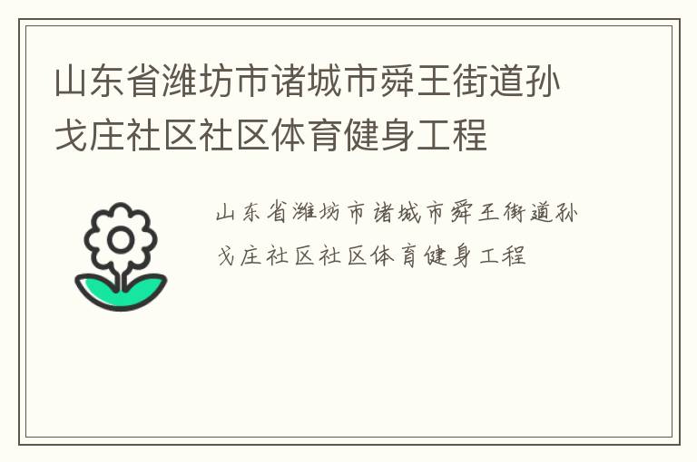 山東省濰坊市諸城市舜王街道孫戈莊社區社區體育健身工程