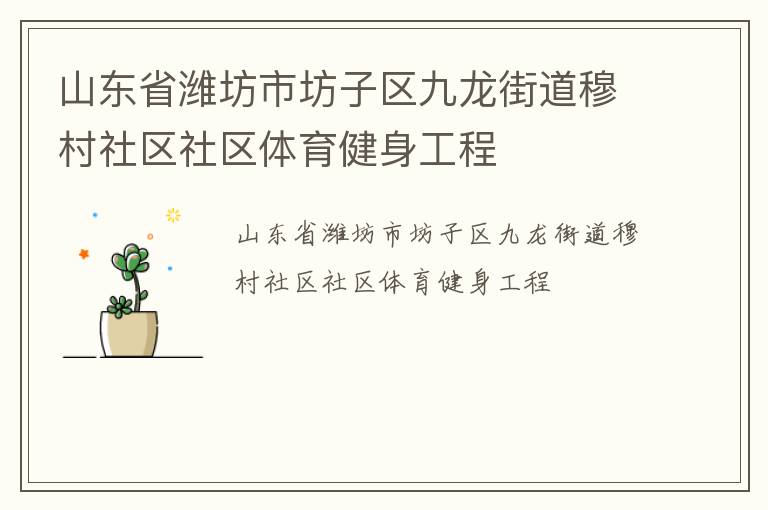 山東省濰坊市坊子區九龍街道穆村社區社區體育健身工程