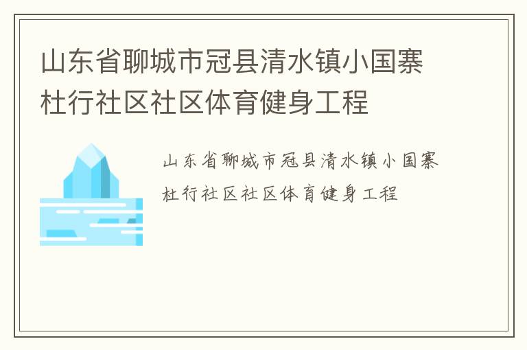 山東省聊城市冠縣清水鎮小國寨杜行社區社區體育健身工程