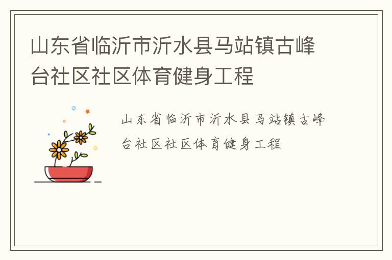 山東省臨沂市沂水縣馬站鎮古峰臺社區社區體育健身工程