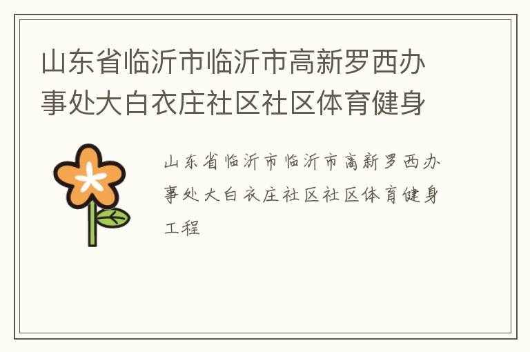 山東省臨沂市臨沂市高新羅西辦事處大白衣莊社區社區體育健身工程