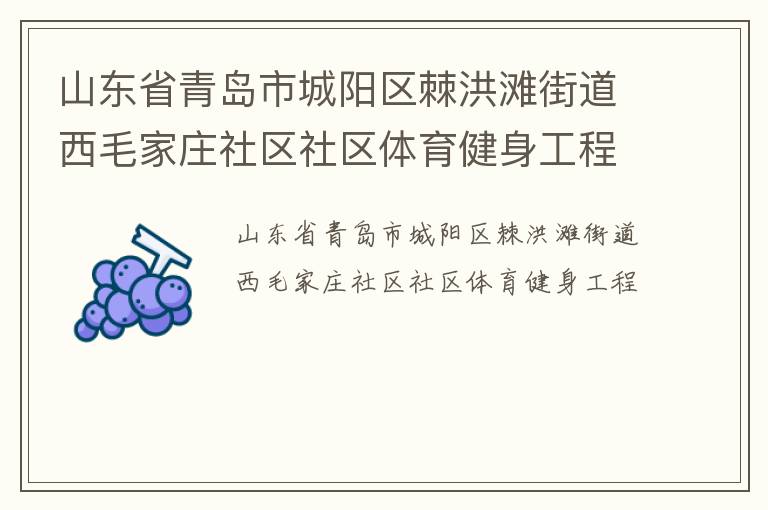 山東省青島市城陽區棘洪灘街道西毛家莊社區社區體育健身工程