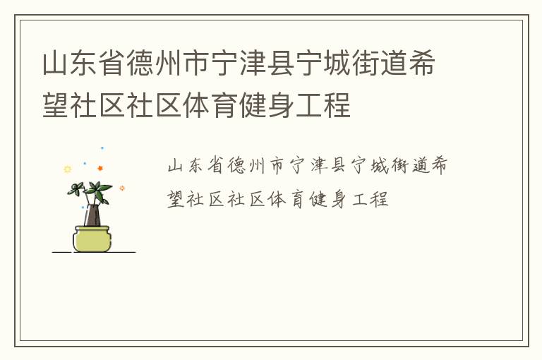 山東省德州市寧津縣寧城街道希望社區社區體育健身工程