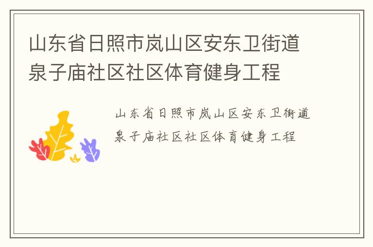山東省日照市嵐山區安東衛街道泉子廟社區社區體育健身工程