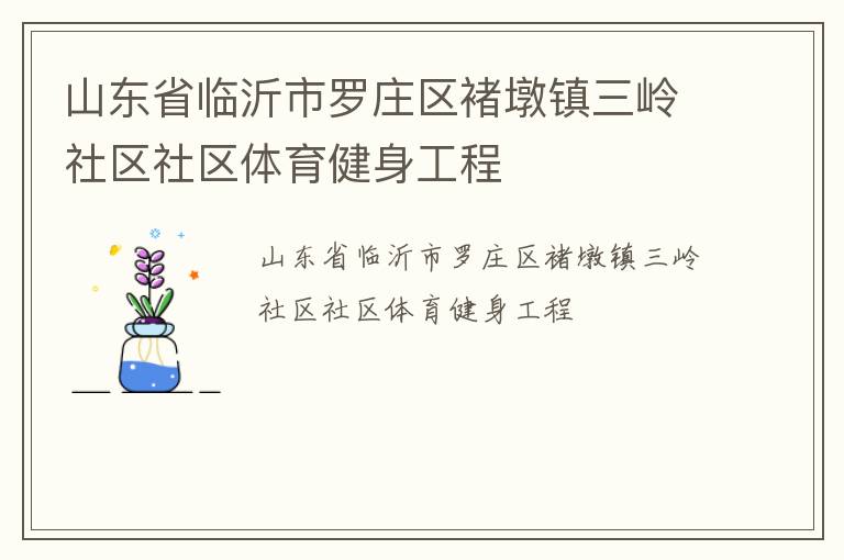 山東省臨沂市羅莊區褚墩鎮三嶺社區社區體育健身工程