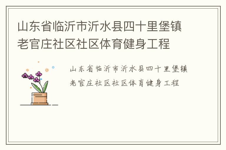 山東省臨沂市沂水縣四十里堡鎮老官莊社區社區體育健身工程