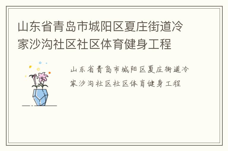 山東省青島市城陽區夏莊街道冷家沙溝社區社區體育健身工程