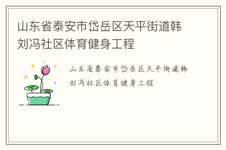 山東省泰安市岱岳區天平街道韓劉馮社區體育健身工程