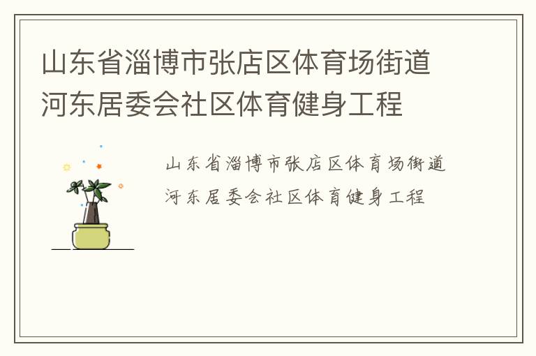 山東省淄博市張店區體育場街道河東居委會社區體育健身工程