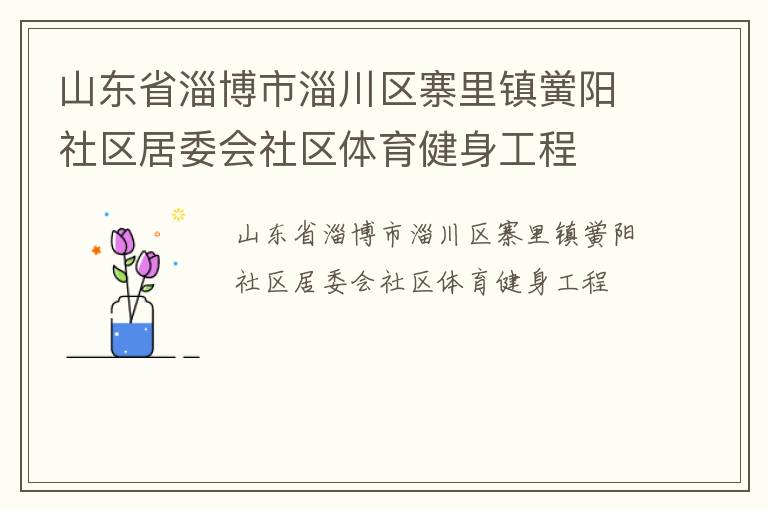 山東省淄博市淄川區寨里鎮黌陽社區居委會社區體育健身工程