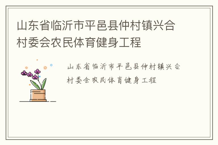 山東省臨沂市平邑縣仲村鎮興合村委會農民體育健身工程